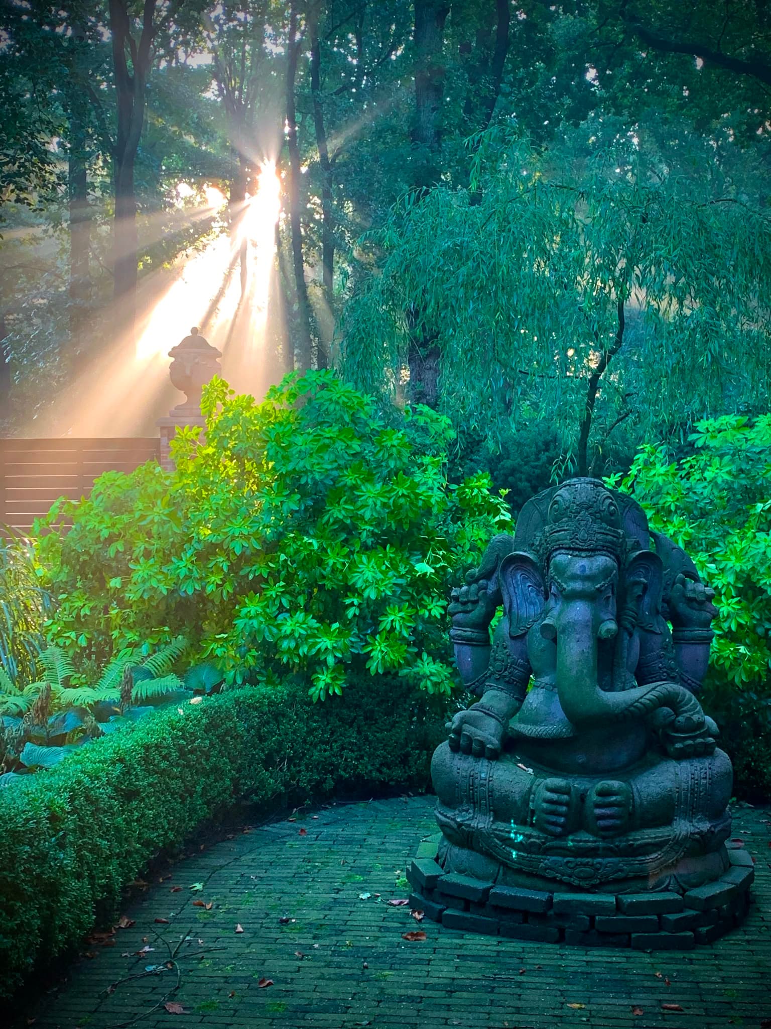 Ganesha beeld in ochtendlicht
