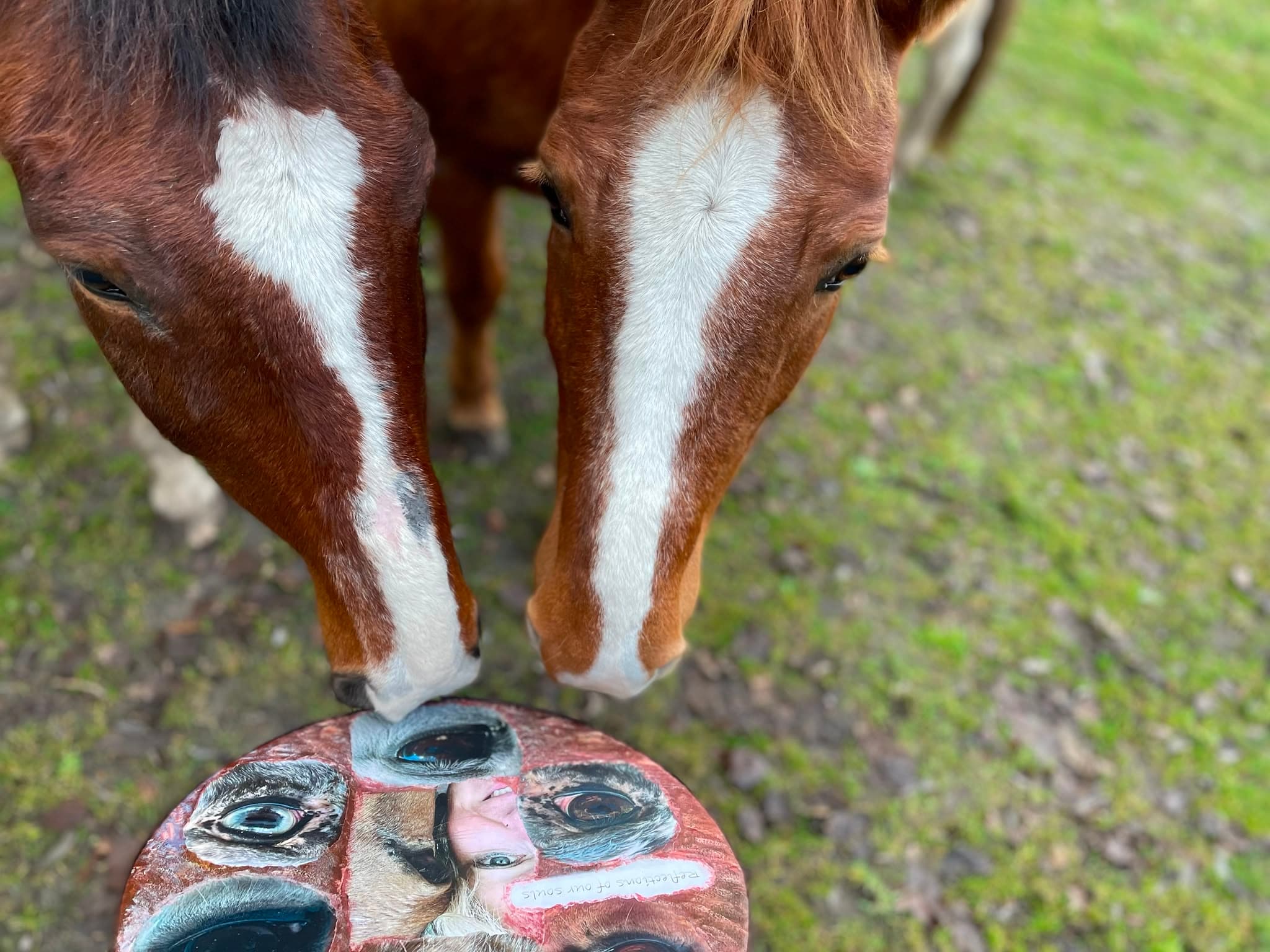 Paarden met shamaanse trommel