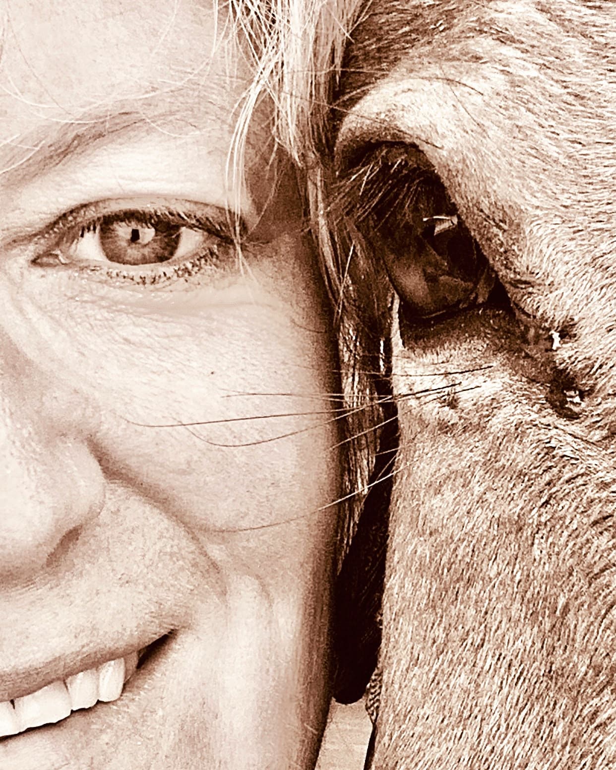 Rien en haar paard, sepia portret